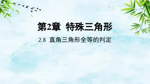 2.8 直角三角形全等的判定八年级上册数学浙教版