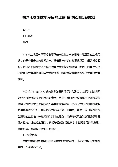 格尔木盐湖转型发展的建议-概述说明以及解释