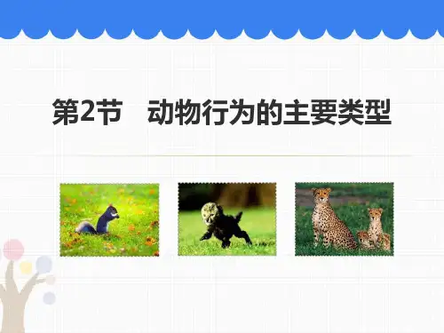 《动物行为的主要类型》PPT优秀课件