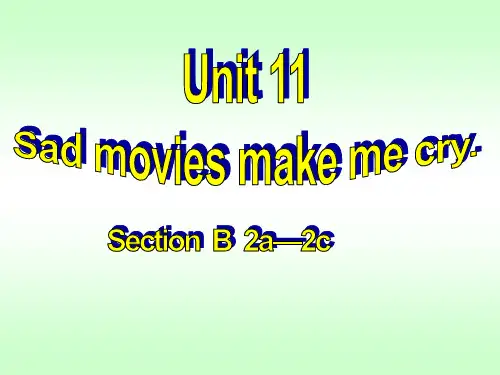 人教版英语九年级  Unit11 SectionB 2a-2e 课件