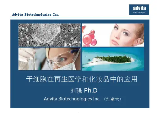 干细胞在再生医学和化妆品中的应用ppt课件