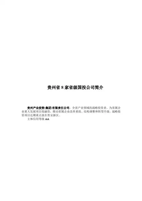 贵州省八大平台公司简介