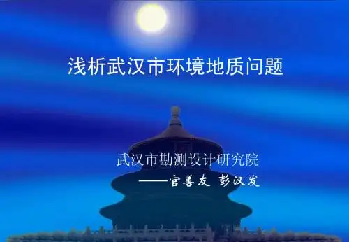 浅析武汉市环境地质问题
