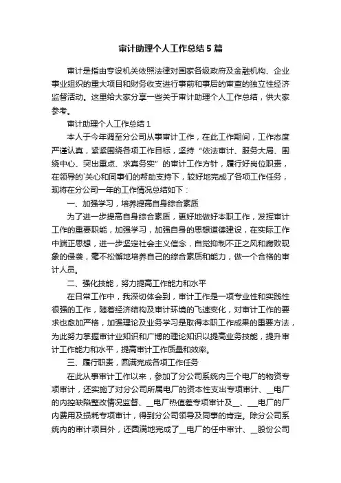 审计助理个人工作总结5篇