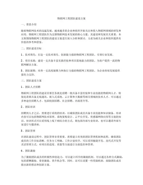 物联网工程团队建设方案
