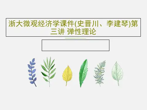 浙大微观经济学课件(史晋川、李建琴)第三讲 弹性理论37页文档
