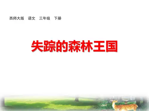 《失踪的森林王国》课件PPT