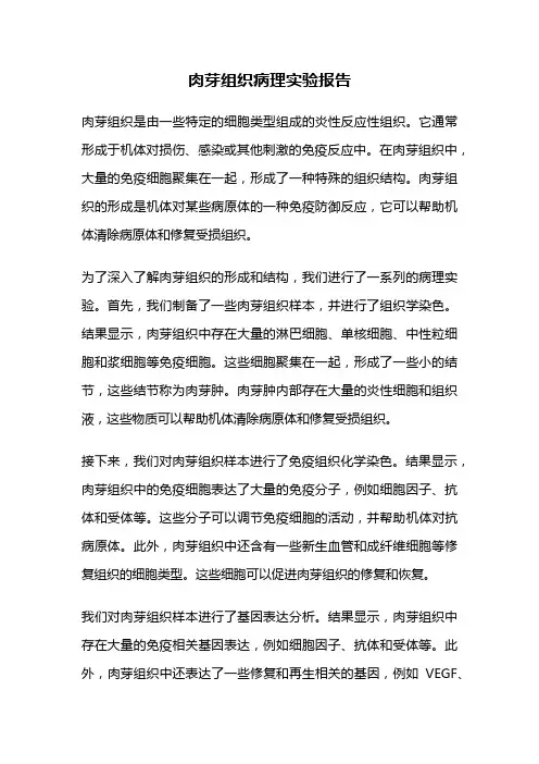 肉芽组织病理实验报告