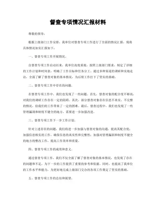 督查专项情况汇报材料