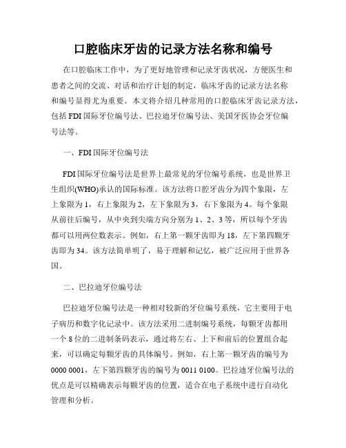 口腔临床牙齿的记录方法名称和编号