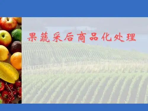 果蔬贮运与加工讲课