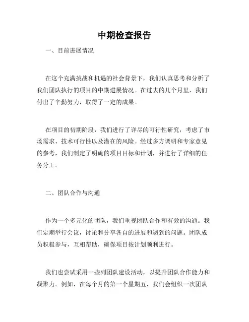 中期检查报告