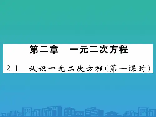 2.1-认识一元二次方程(第一课时)(共19张PPT)