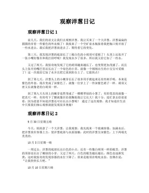 观察洋葱日记