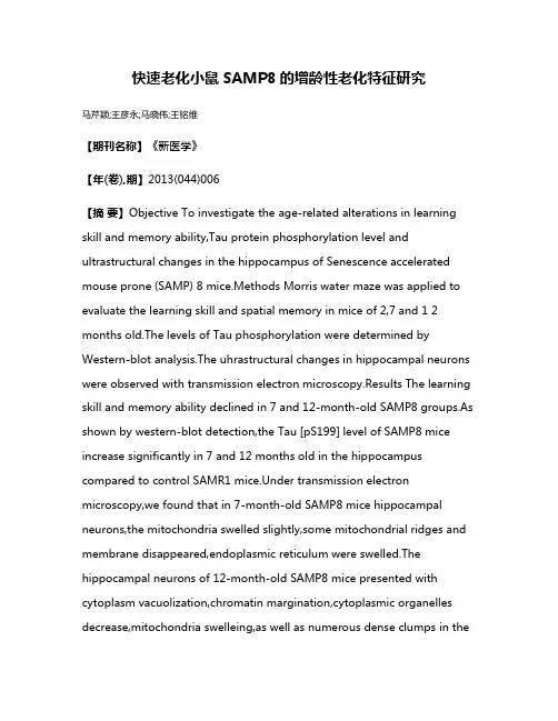 快速老化小鼠SAMP8的增龄性老化特征研究