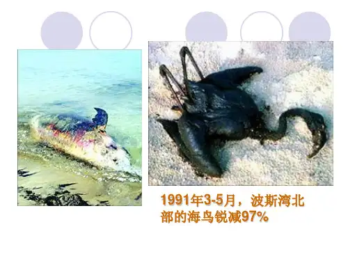 人教版高中历史选修3第5单元第7课海湾战争