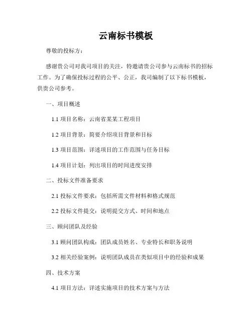 云南标书模板