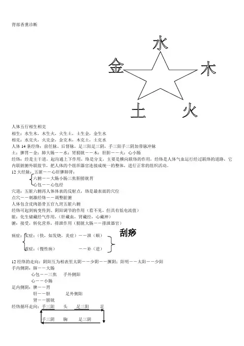 背部经络诊断