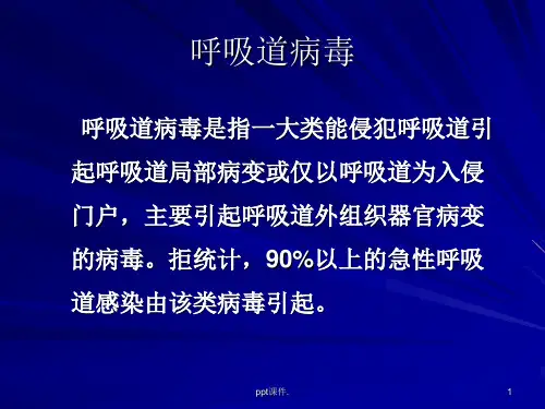 呼吸病毒精选幻灯片