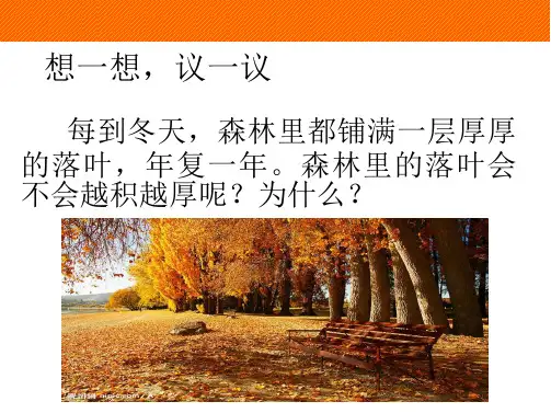 初中生物  细菌和真菌在自然界中的作用16 人教版精品课件