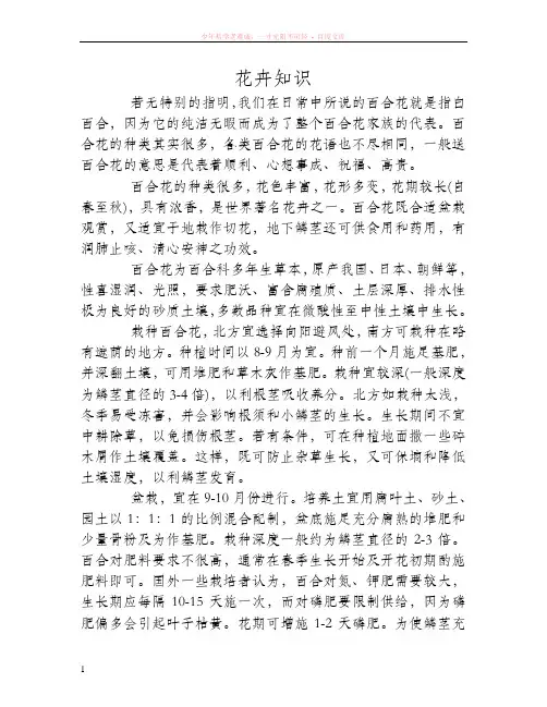 百合花的种植方法及注意事项