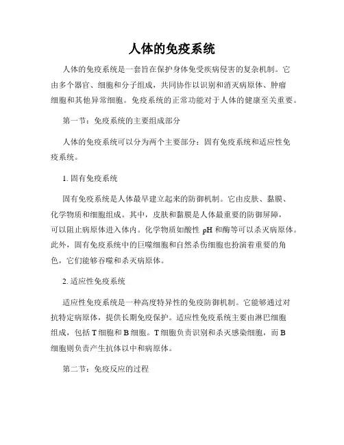 人体的免疫系统