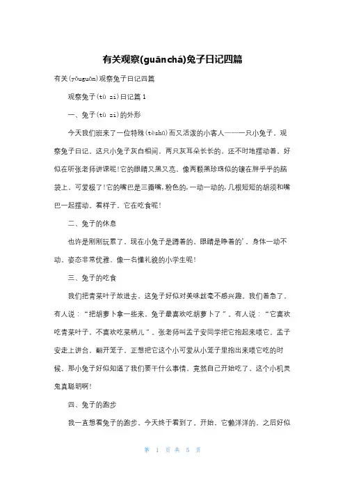 有关观察兔子日记四篇