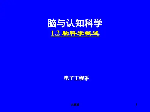 脑与认知 脑科学概述 PPT