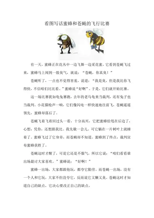 看图写话蜜蜂和苍蝇的飞行比赛