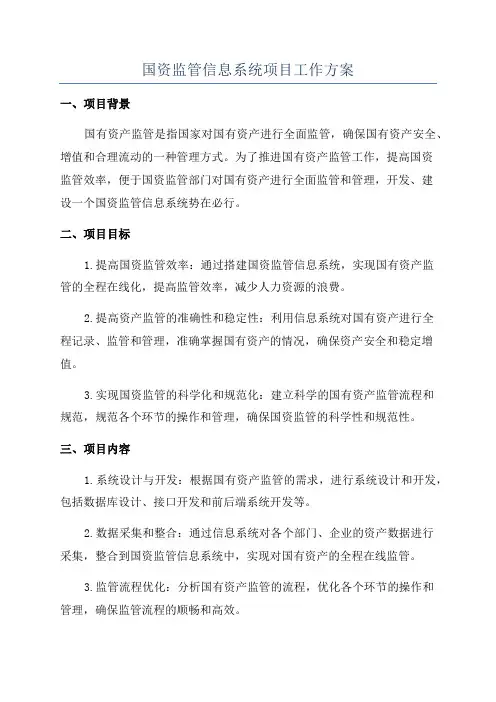 国资监管信息系统项目工作方案