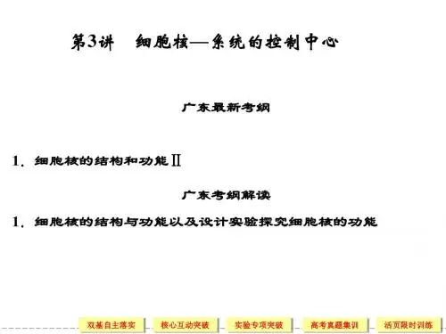 1-2-3细胞核的结构与功能