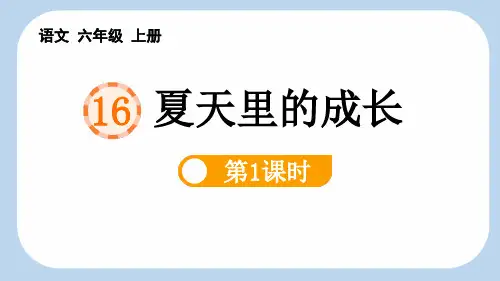 最新统编部编版语文六年级上册《夏天里的成长(第1课时)》教学课件