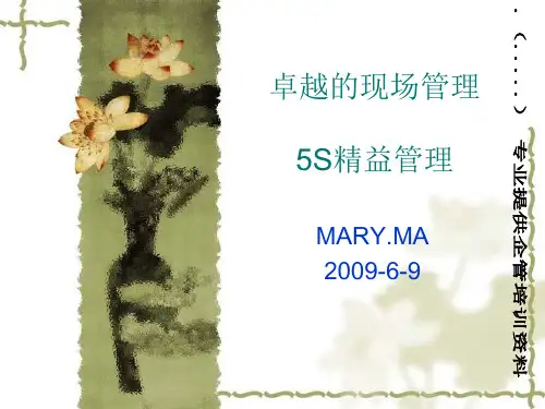 5S精益管理全面概述(ppt44页).pptx