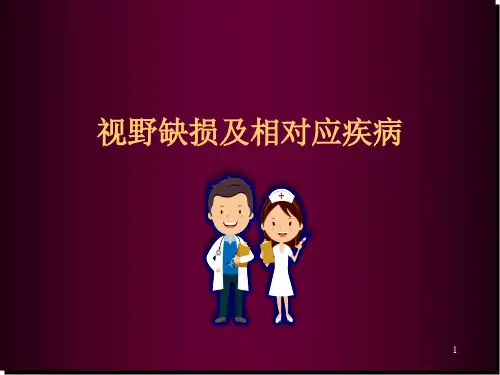 视野缺损医学PPT课件