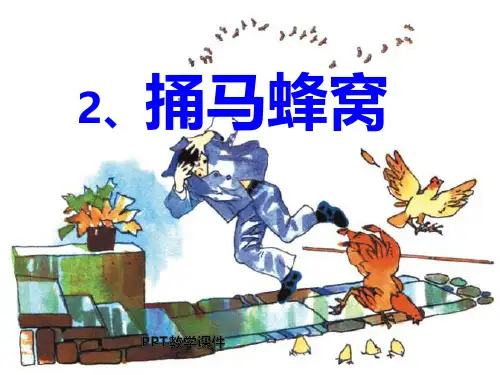 捅马蜂窝PPT课件