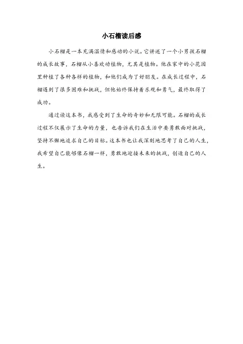 小石榴读后感20字左右