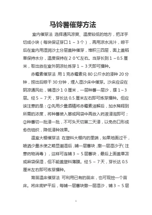 洋芋催芽四法
