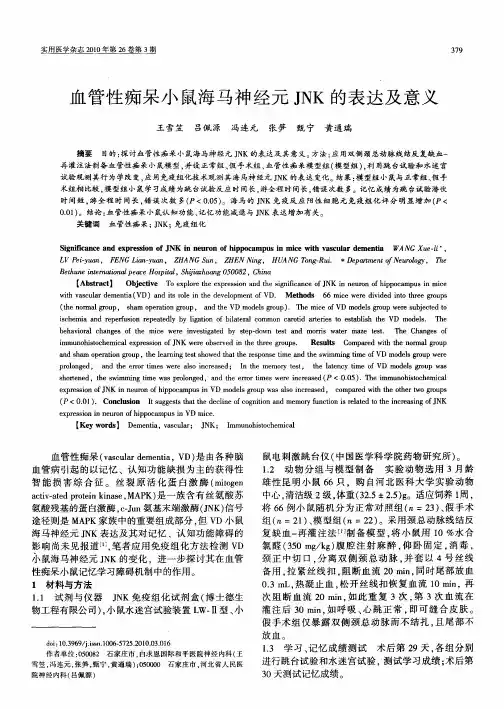 血管性痴呆小鼠海马神经元JNK的表达及意义