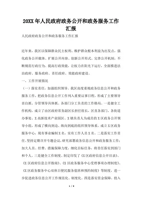 2019年人民政府政务公开和政务服务工作汇报