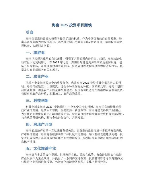 海南2025投资项目赚钱