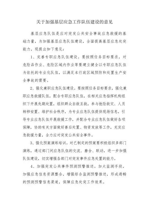 应急工作意见建议