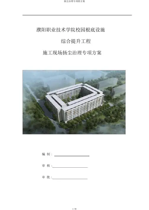扬尘治理专项的方案
