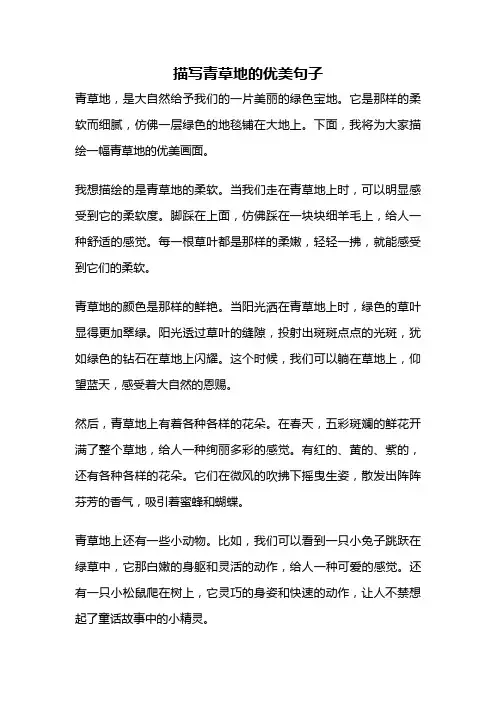 描写青草地的优美句子