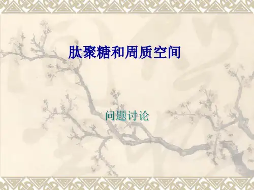 肽聚糖和周质空间