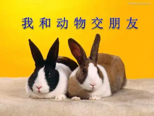 《我和动物交朋友》让家园更美好PPT课件2 (共32张PPT)