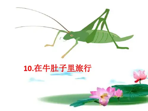 统编版三年级语文上册在牛肚子里旅行课件 (共23张PPT)