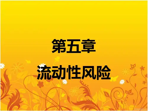 第5章 流动性风险