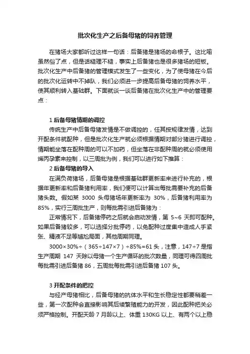 批次化生产之后备母猪的饲养管理