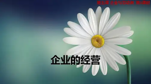 人教版高中政治必修1精品课件15：5.1 企业的经营