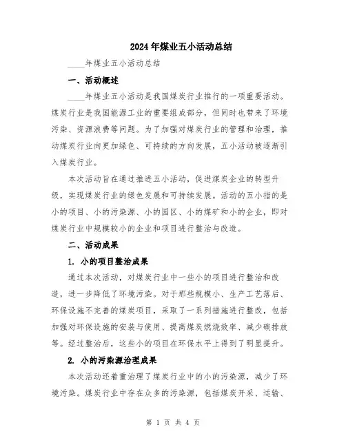 2024年煤业五小活动总结